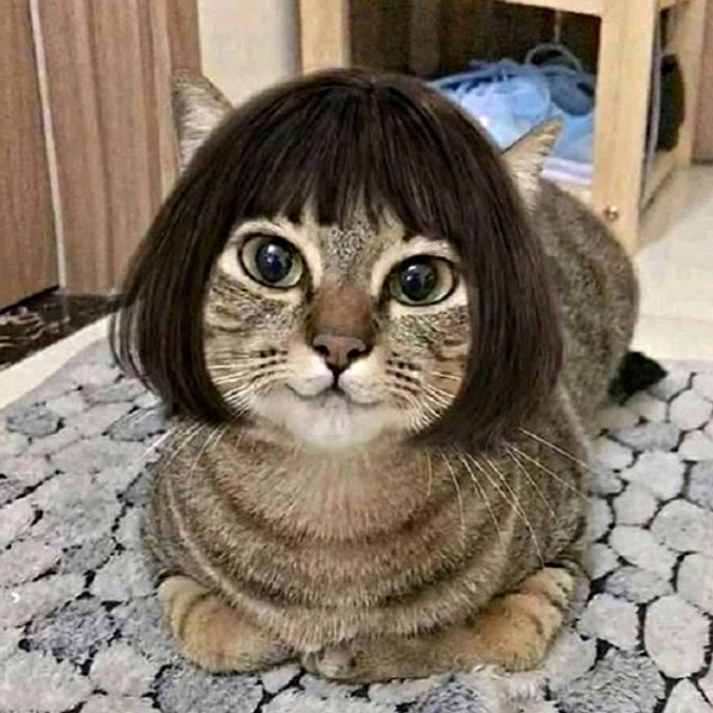 Meet your Posher NessNizz